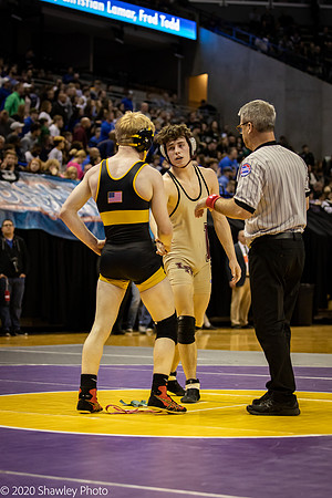 2020.02.22 FHS Wrestling State03695