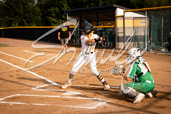 2020.09.14 FHS Softball Vs. Blair Oaks_00340