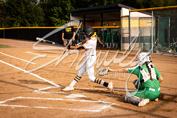 2020.09.14 FHS Softball Vs. Blair Oaks_00343