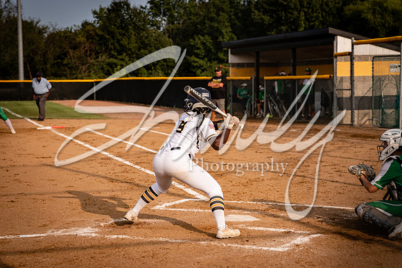 2020.09.14 FHS Softball Vs. Blair Oaks_00613