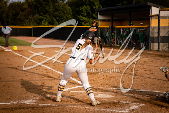 2020.09.14 FHS Softball Vs. Blair Oaks_00703
