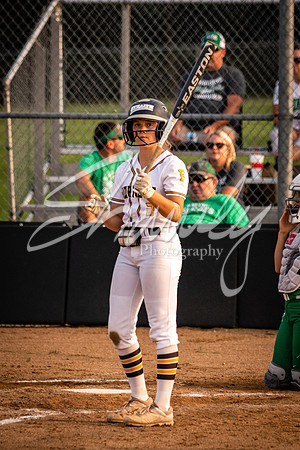2020.09.14 FHS Softball Vs. Blair Oaks_01434