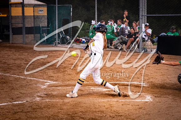 2020.09.14 FHS Softball Vs. Blair Oaks_01857