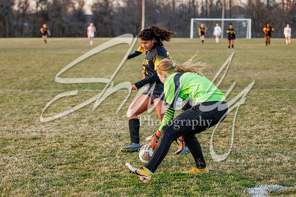2022.03.25 FHS Girls Soccer Vs. Owensvillel0362