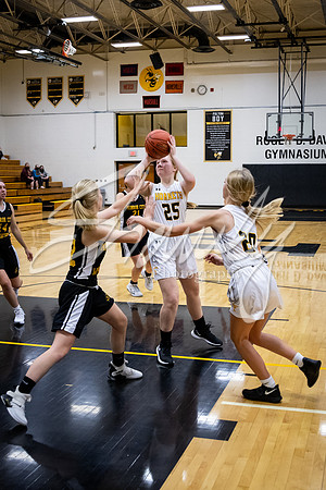 2020.11.20 FHS Girls Basketball Vs. Monroe City_01552