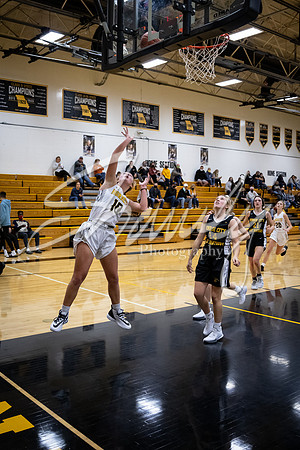 2020.11.20 FHS Girls Basketball Vs. Monroe City_01708