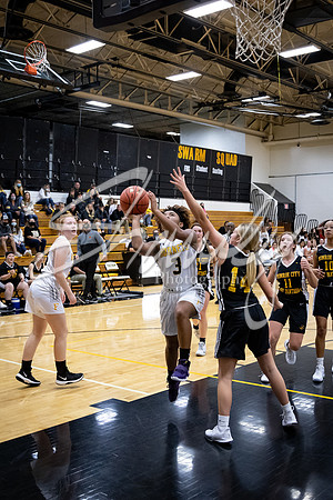 2020.11.20 FHS Girls Basketball Vs. Monroe City_01315