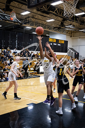 2020.11.20 FHS Girls Basketball Vs. Monroe City_01316