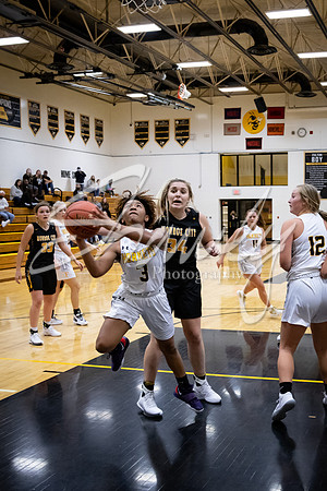 2020.11.20 FHS Girls Basketball Vs. Monroe City_03528