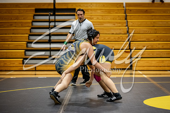 2020.12.15 FHS Wrestling Vs. Smith-Cotton_00136