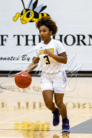 2021.01.19 FHS Basketball Girls Vs. Father Tolton01767