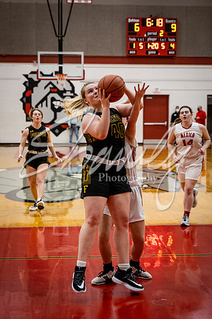 2021.02.02 FHS Basketball Vs. Mexico00861