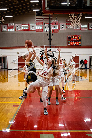 2021.02.02 FHS Basketball Vs. Mexico00876
