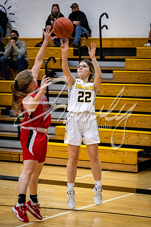2021.02.22 FHS Girls Basketball Vs. Mexico00241