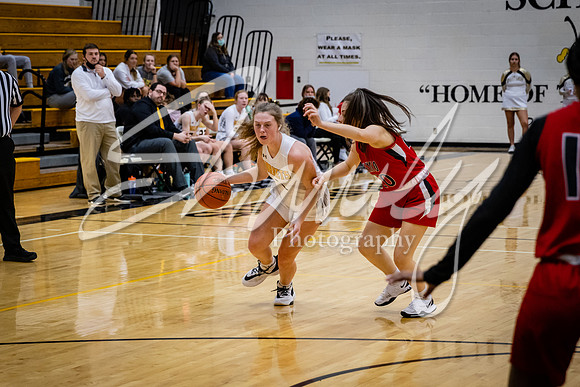 2021.02.22 FHS Girls Basketball Vs. Mexico00375