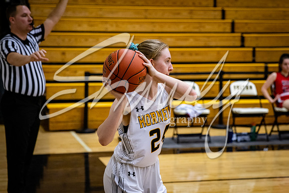 2021.02.22 FHS Girls Basketball Vs. Mexico00549