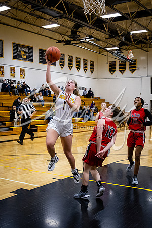 2021.02.22 FHS Girls Basketball Vs. Mexico00965