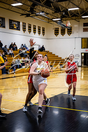 2021.02.22 FHS Girls Basketball Vs. Mexico00984