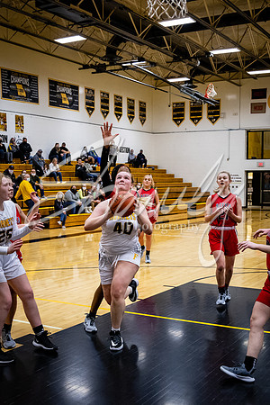 2021.02.22 FHS Girls Basketball Vs. Mexico00985