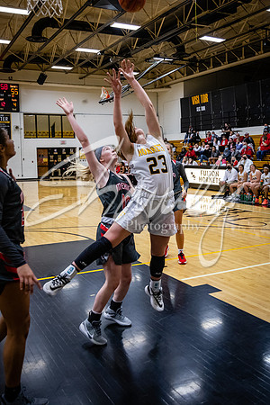 2021.02.22 FHS Girls Basketball Vs. Mexico02445