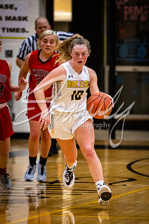 2021.02.22 FHS Girls Basketball Vs. Mexico02932