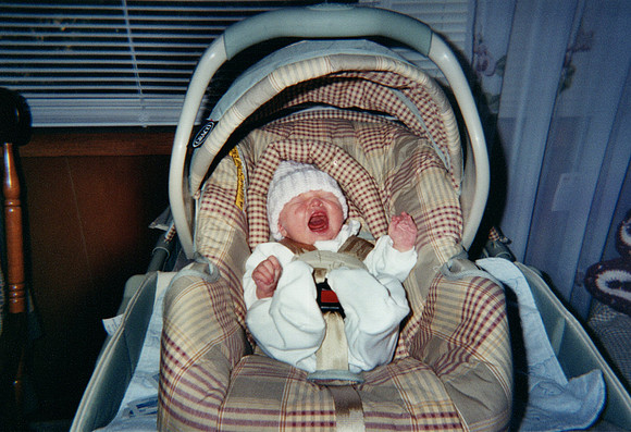 Bradley Family_1093
