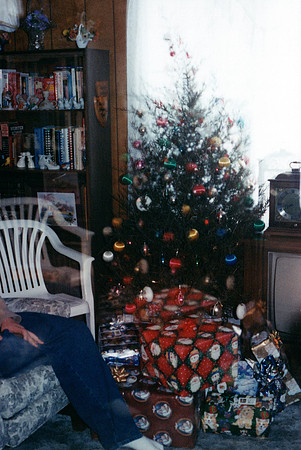 Bradley Family_0549