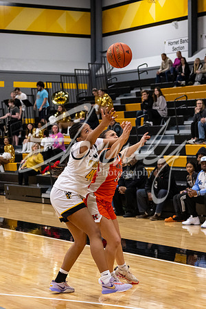2025.02.14 FHS Girls Basketball Vs. Kirksville-25