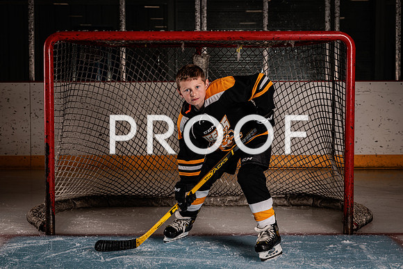 Mid-Mo Tigers Hockey-5