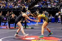 2025.02.27 MSHSAA Wrestling Semis and Wrestlebacks-2