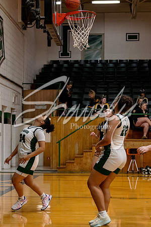 2024.12.16 NCHS Ladybirds Basketball Vs. Van-Far-47