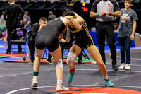 2025.02.27 MSHSAA Wrestling Semis and Wrestlebacks-4