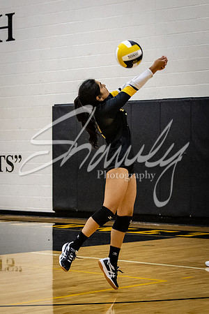 2020.09.22 FHS Volleyball Vs. Mexico_00309