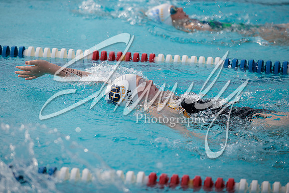 2022.07.06 Fulton Fins Swim Meetl2092