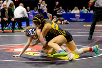 2025.02.27 MSHSAA Wrestling Semis and Wrestlebacks-10