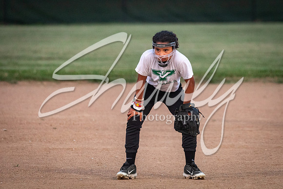 2021.07.08 N. Callaway Softball Vs. Harrisburg00283