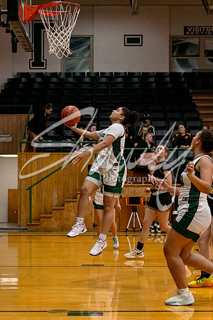 2024.12.16 NCHS Ladybirds Basketball Vs. Van-Far-40