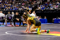 2025.02.27 MSHSAA Wrestling Semis and Wrestlebacks-13