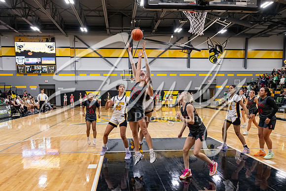 2024.12.10 FHS Girls Basketball Vs. Hannibal-33