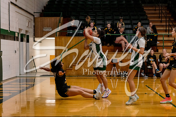 2024.12.16 NCHS Ladybirds Basketball Vs. Van-Far-48