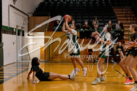 2024.12.16 NCHS Ladybirds Basketball Vs. Van-Far-49