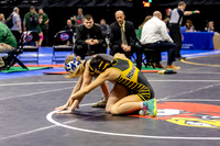 2025.02.27 MSHSAA Wrestling Semis and Wrestlebacks-8