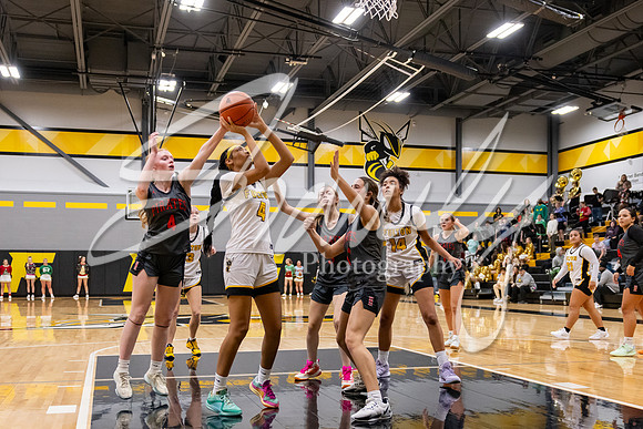2024.12.10 FHS Girls Basketball Vs. Hannibal-26