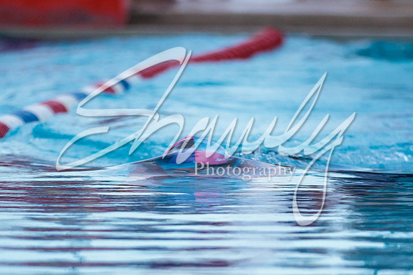 2022.07.06 Fulton Fins Swim Meetl3488