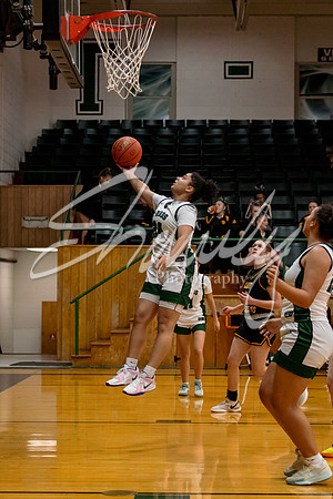 2024.12.16 NCHS Ladybirds Basketball Vs. Van-Far-41