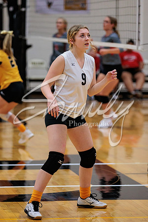 2022.09.19 FHS Volleyball Vs. Mexico0028