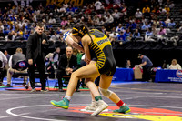 2025.02.27 MSHSAA Wrestling Semis and Wrestlebacks-11