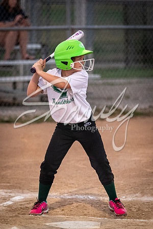 2021.07.08 N. Callaway Softball Vs. Harrisburg00538