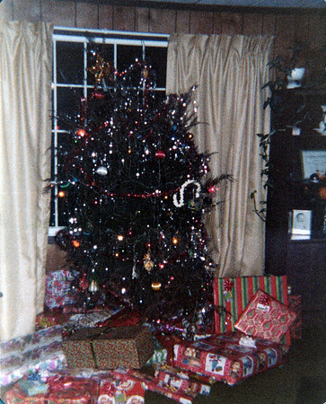 Bradley Family2_0025cc