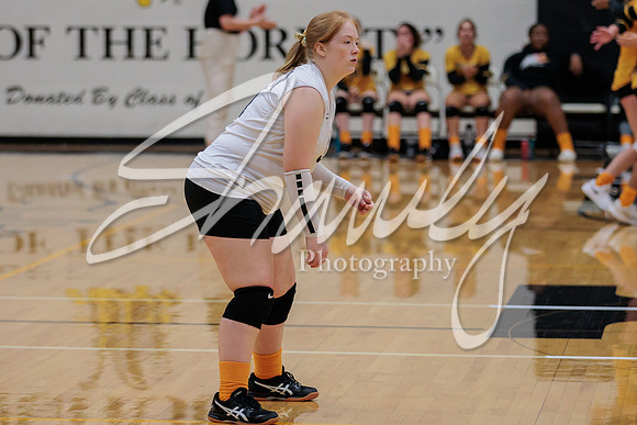 2022.09.19 FHS Volleyball Vs. Mexico0069